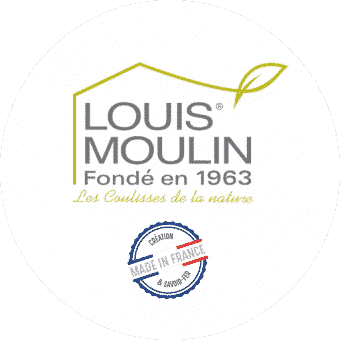 00845-louis-moulin-2